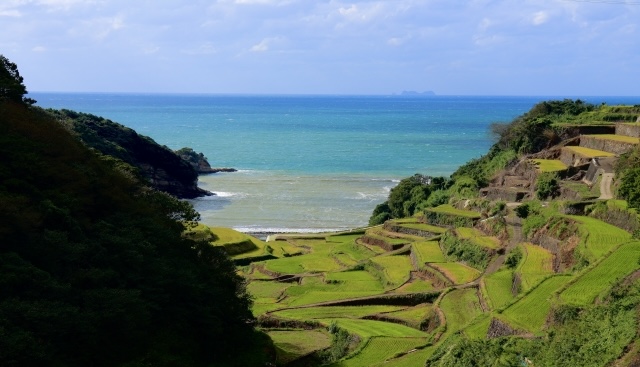 玄海町の棚田の風景